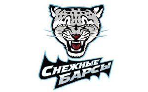 Хоккей. МХЛ. Омские Ястребы - Снежные Барсы 4:1