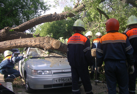 В Москве шквалистый ветер повалил 960 деревьев