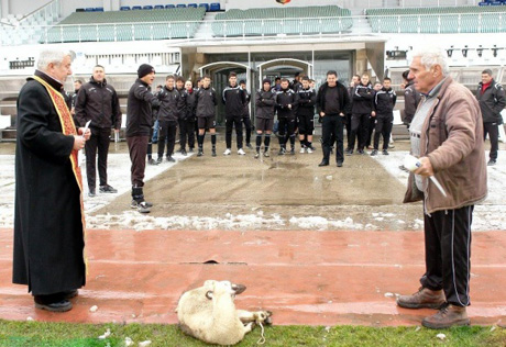 Болгарские футболисты ради победы зарезали ягненка на стадионе