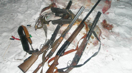 В Северо-Казахстанской области браконьеры расстреляли 8 косуль