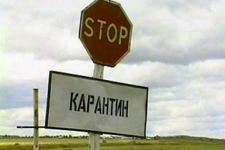 В Павлодарской области сняли карантин по сибирской язве