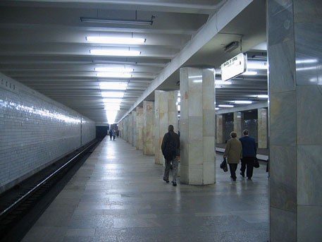 В московском метро мужчина попал под поезд 