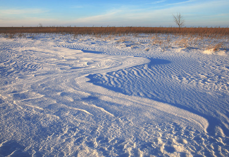 В Акмолинской области в степи насмерть замерзли две девушки