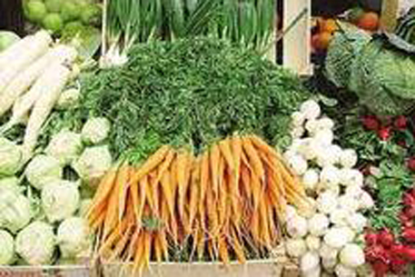 В Казахстане семена овощей станут дешевле в 5 раз