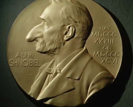 Лауреат Нобелевской премии был награжден Шнобелем