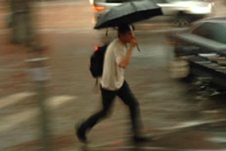 В Приамурье из-за циклона объявили штормовое предупреждение