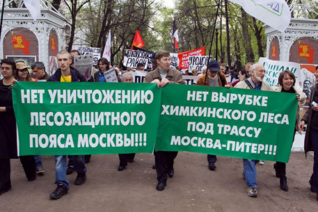 Greenpeace попросил Генпрокуратуру наказать вырубающих Химкинский лес