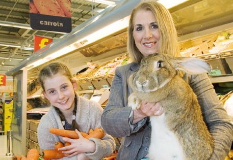 Британка вырастила кролика весом 22 килограмма