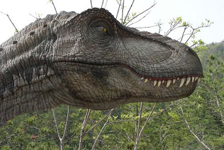 В Австралии нашли три новых вида динозавров
