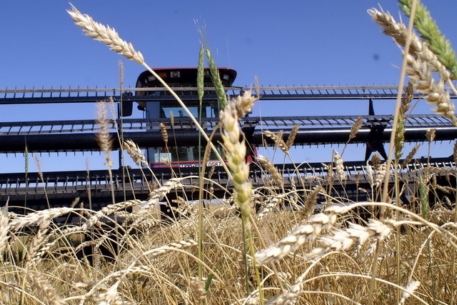 Казахстан впервые экспортировал пшеницу в Китай