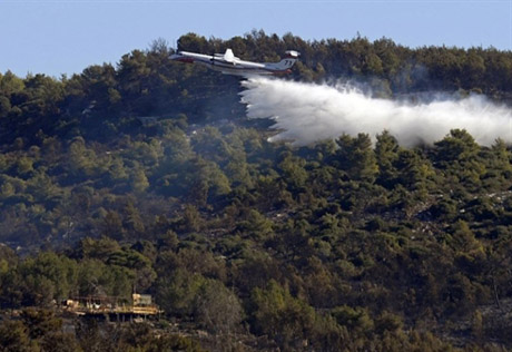 Ущерб от лесного пожара в Израиле оценили в 33 миллиона долларов