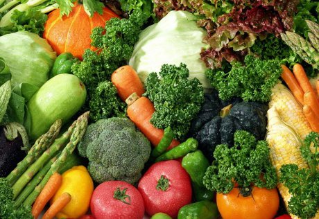 Онищенко разрешил в России овощи из Нидерландов и Бельгии