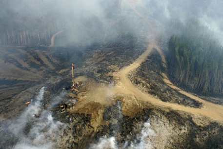 В Германии загорелся лес рядом с бывшим военным полигоном