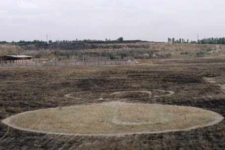 В Южно-Казахстанской области появились круги на полях