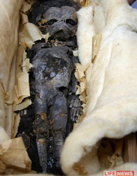 Во время ремонта в квартире найдена мумия младенца