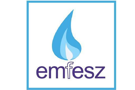 Руководителя Emfesz арестовали из-за финасовых преступлений