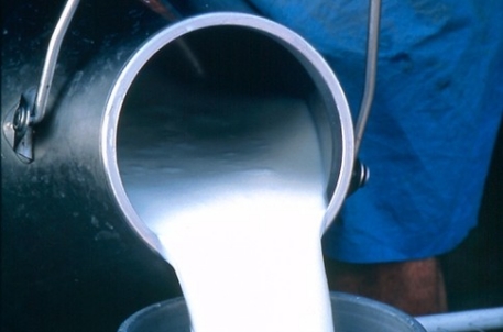 Минск обвинили в намеренном нарушении договора по молоку