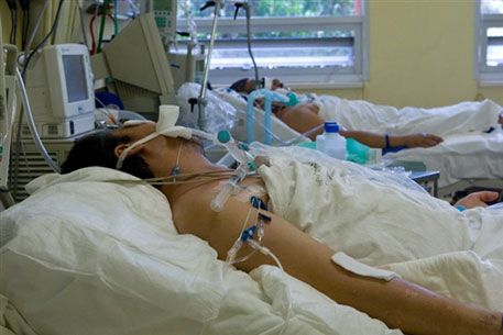 В России 6 человек скончались от лихорадки Западного Нила