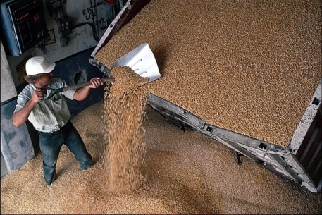 Россия и Казахстан создадут зерновой пул экспортеров