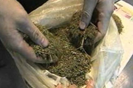 Из камеры хранения Наркоконтроля похитили 76 килограммов конопли 