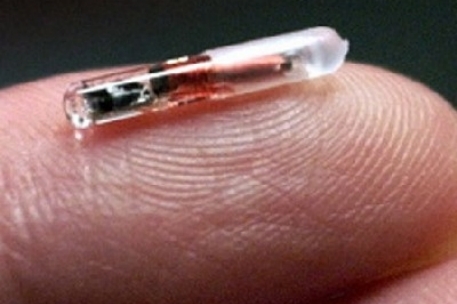 Ученые создали радио-чип по образу внутреннего уха