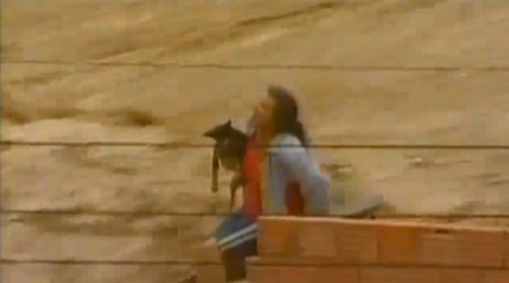 В Рио-де-Жанейро женщина пожертвовала собакой ради своего спасения