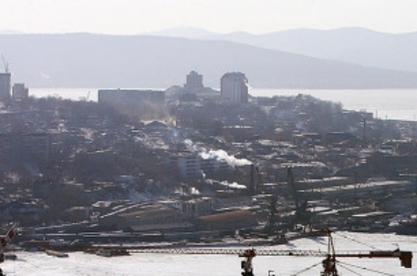 "Желтый прилив" у берегов Владивостока объяснили водорослями