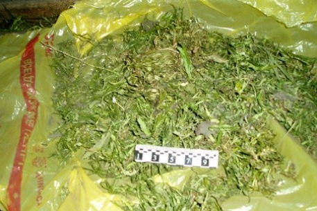 На юге Казахстана наркоделец заготовил тонну марихуаны