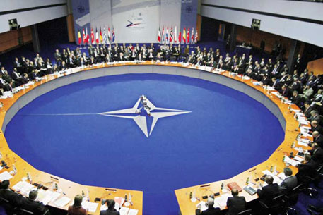 Украина и Грузия не готовы к вступлению в НАТО