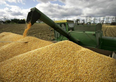 Азербайджан увеличил госзапас зерна до 500 тысяч тонн