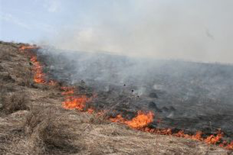 Площадь природных пожаров в РК составила 91 тысячу гектаров