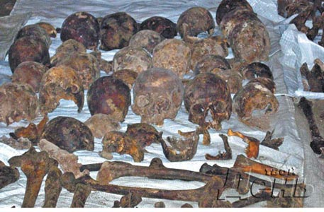 50 скелетов найдены во время строительства Олимпийского шоссе в Англии