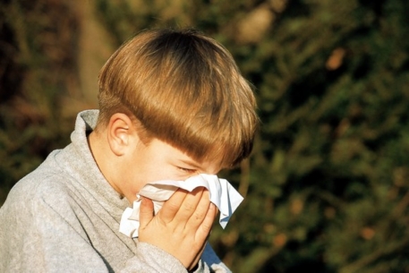 В России гриппом А/Н1N1 заразились 142 человека