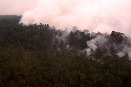 На Дальнем Востоке зафиксировано 20 лесных пожаров
