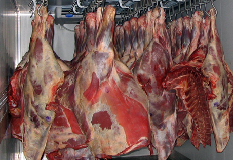 В России пресечен ввоз 4,5 тонны зараженного мяса из Казахстана