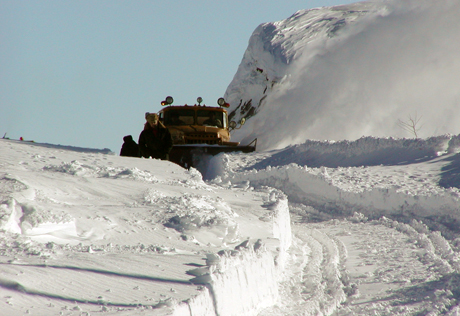 В Алматинской области из снежного заноса вызволили 32 человека