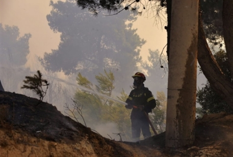 Россия окажет помощь Греции в борьбе с лесными пожарами