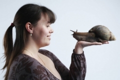 Самое крупное брюхоногое – африканская гигантская улитка (Achatina achatina). Крупнейшая из особей достигала 39,3 см от головы до кончика хвоста. Длина раковины составляла 27,3 см, а весила улитка ровно 900 грамм.