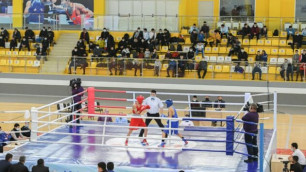 Казахстанские боксеры растоптали соперников и добились триумфального исхода