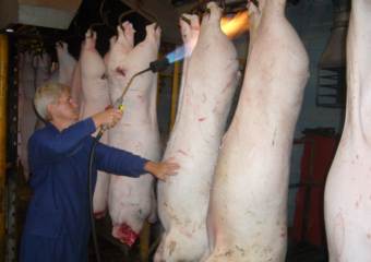 Свинина из 13 штатов США попала под запрет в России