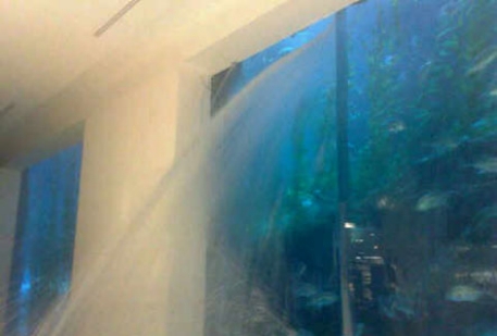 Течь в аквариуме ТЦ в Дубаи привела к эвакуации
