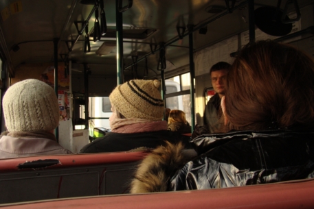 В общественном транспорте России установят алкозамки