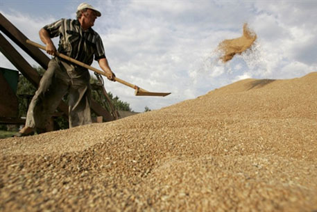 Правительство РФ частично сняло запрет на экспорт зерна