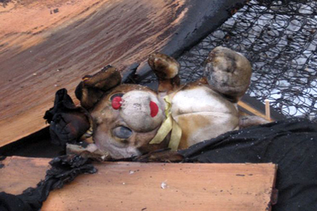 В Восточно-Казахстанской области при пожаре погибла 3-летняя девочка 