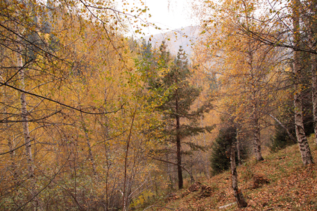 В Алматинской области создан национальный природный парк