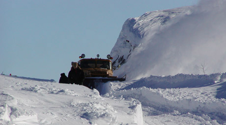 В горах Алматинской области ожидается сход лавин