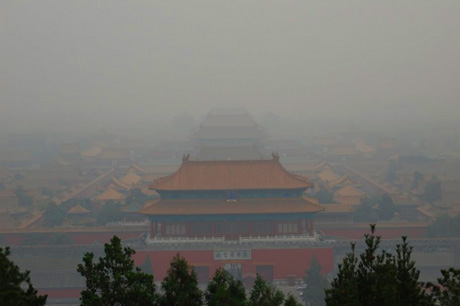 В китайском Даляне задержаны 20 рейсов из-за тумана