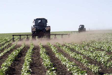 Казахстан предложил совместную поддержку сельского хозяйства в ТС