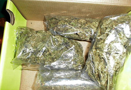 23 килограмма марихуаны изъято у наркосбытчиков из Алматы и Кызылорды