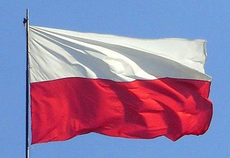 Правящая партия Польши лидирует на местных выборах